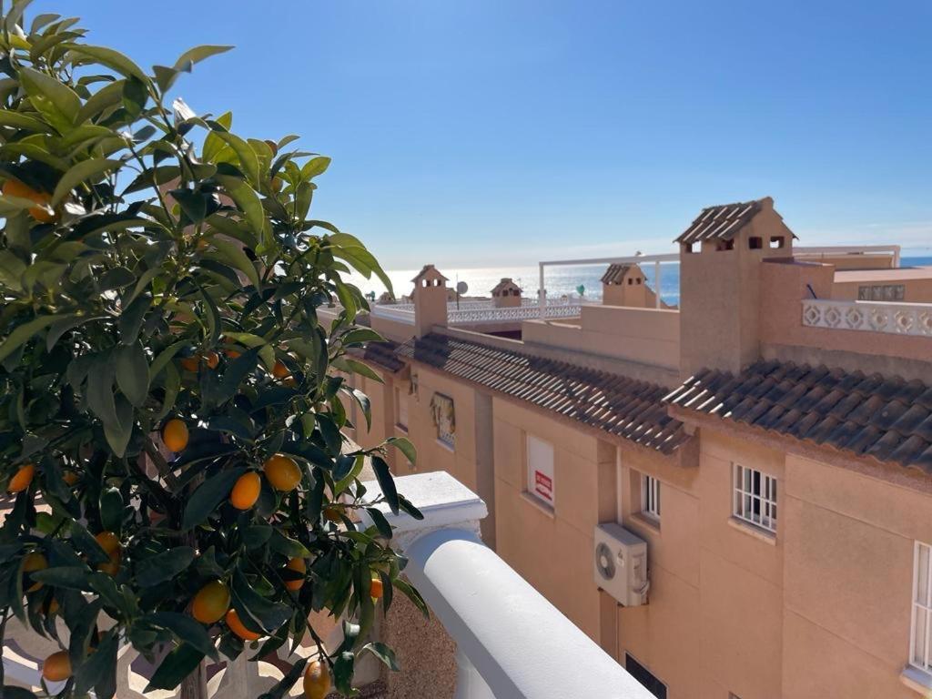 Apartament La Mata Torrevieja Extérieur photo